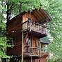 Sycamore Avenue Treehouses