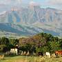 Ardmore Guest Farm