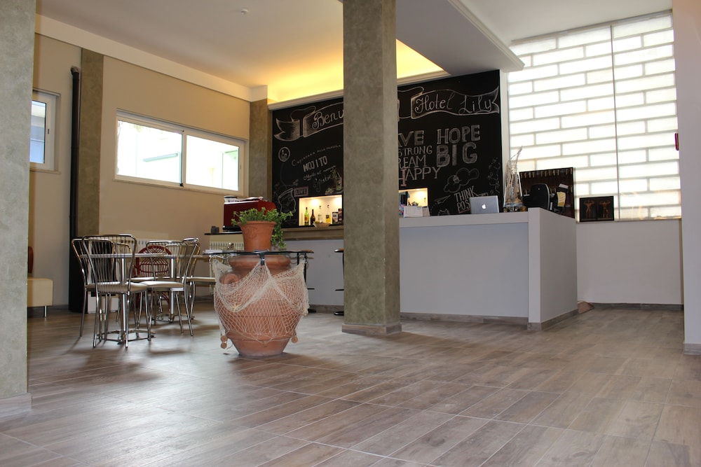 Hotel Lily
