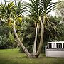 Sunbird Guest House