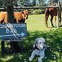 Quarrystone House B&B