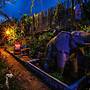 Artist Place Trat