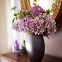 Goss Hall Bed & Breakfast