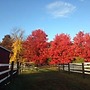 Flint Hill Farm AG
