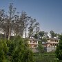 Green Nest Resort