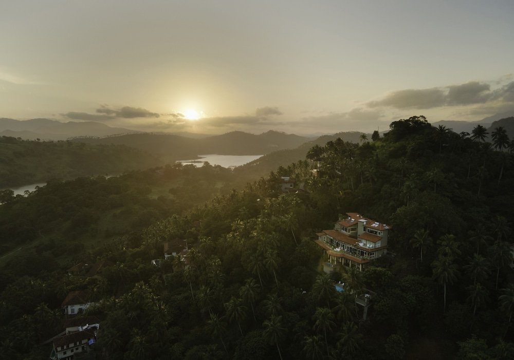 The Albatross, Kandy
