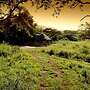 Caracal Lodge