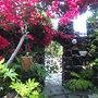 J Garden