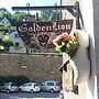 B&B Golden Lion