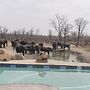 Dzibanana Lodge & Camping