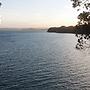 Auckland Clifftop
