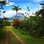 Essence Arenal Spa & Yoga
