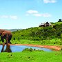 Hopewell Private Game Reserve