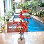 Alia Home Sanur