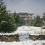 Namsay Chholing Resort