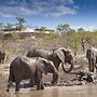 The Elephant Camp