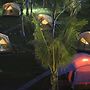 Ocean Front Campgrounds