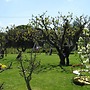 Agriturismo Arangea
