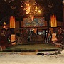 Viking Nature Resort