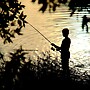 Wooli River Lodges