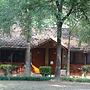 Safari Narayani Hotel- All Inclusive