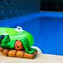 Lazy Frog Goa