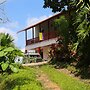 Finca Cafetera San Rafael