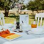 TshiBerry Bed & Breakfast