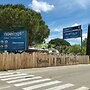 Noemys Arles