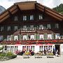 Simmental