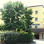 Europalace Hotel