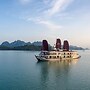 Orchid Trendy Cruise
