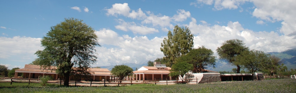 La Vaca Tranquila