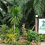 Tonpalm Farmstay