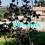 Naturaverde Country House