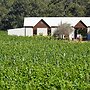 Vineyard Cottage at Upper Reach Winery