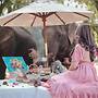 Sappraiwan Elephant Resort & Sanctuary