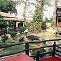 Island Jungle Resort