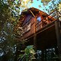 Pugdundee Safaris- Tree House Hideaway