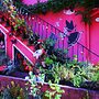 Tilly's B&B