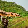 My Rose Valley Resort