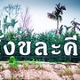 Sangkhlakiri Resort