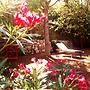 B&B Masseria delle rose 1760