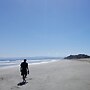 Ohiwa Seascape Studios