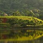 Tapir Lodge