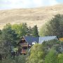 Treetops B&B