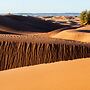Desert Bivouac