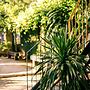 Trai Hoa Vang Homestay - Hostel
