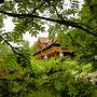 Eco Hotel Romanov Les