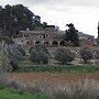 Mas Tomas